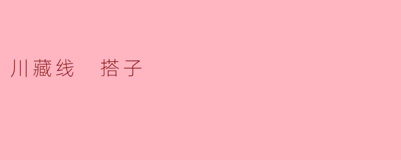 川藏线 搭子